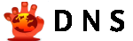 DNS Consultants